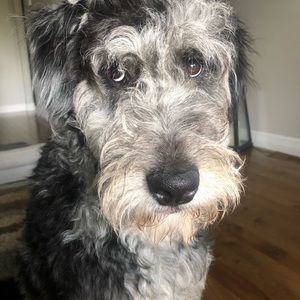 Meet your Posher, Peter